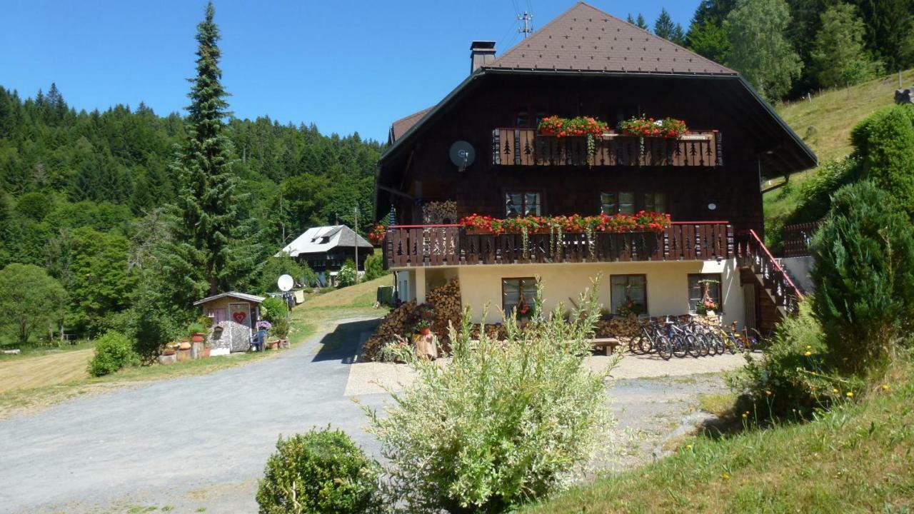 Апартаменты Haus Biehler Тодтмос Экстерьер фото